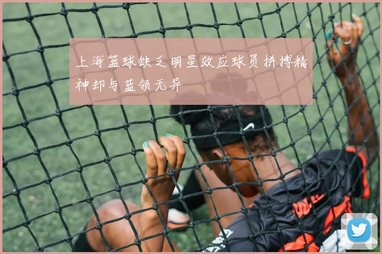上海篮球缺乏明星效应球员拼搏精神却与蓝领无异