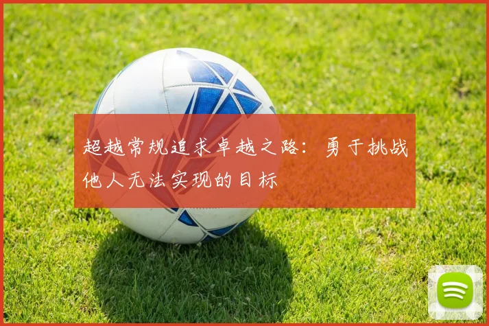 超越常规追求卓越之路：勇于挑战他人无法实现的目标